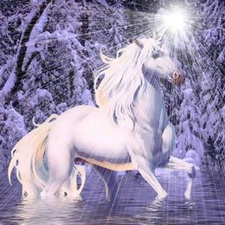 Real unicorns wallpaper