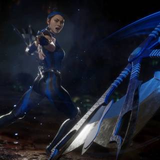 Mortal Kombat 11 all woman wallpaper