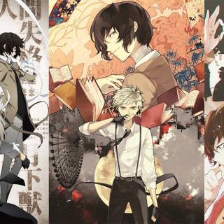 Stray Dogs anime HD wallpaper