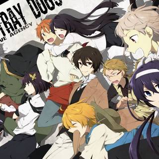 Stray Dogs anime HD wallpaper