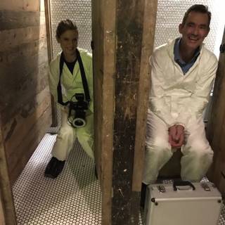 Foxlings In The Woods wallpaper