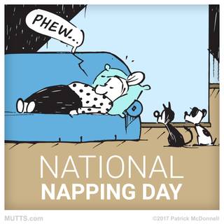 National Napping Day wallpaper