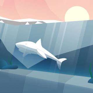 Shark HD Android wallpaper