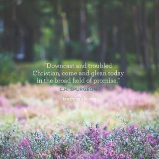 Christian spring wallpaper