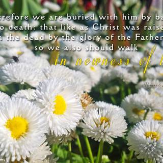 Christian spring wallpaper