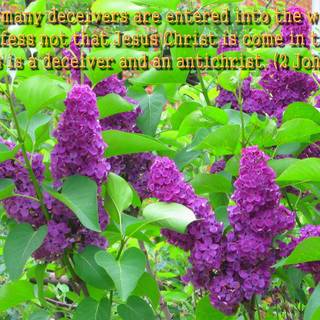 Christian spring wallpaper