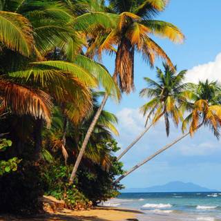 iPhone beach 4k wallpaper