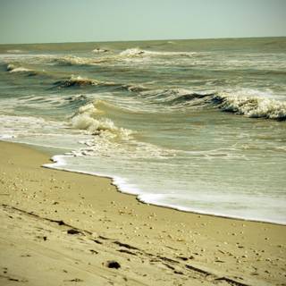 Dirty water wallpaper