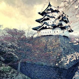 Spring Japan wallpaper