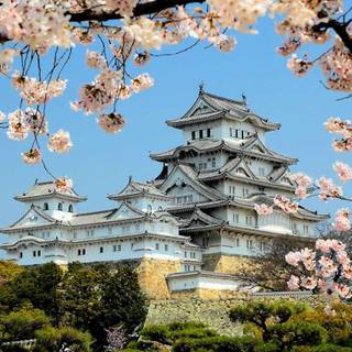 Spring Japan wallpaper
