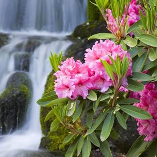 Spring waterfalls 1920x1080 wallpaper