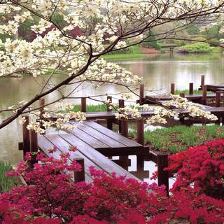 Religious spring wallpaper