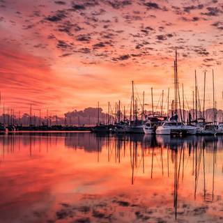 Xiaomi Redmi Note 8 wallpaper