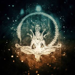 Desktop mindfullness wallpaper