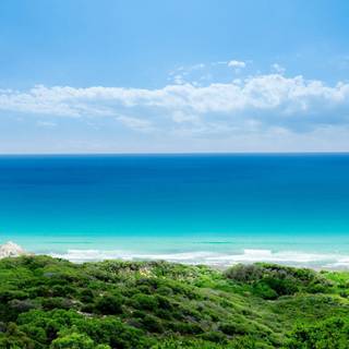 iPad spring wallpaper