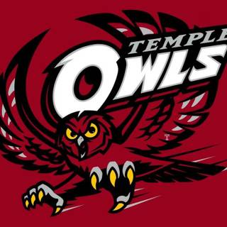 Temple University wallpaper