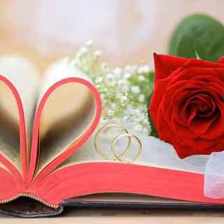 Rose in book wallpaper
