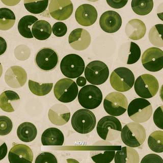 Agriculture revolution wallpaper