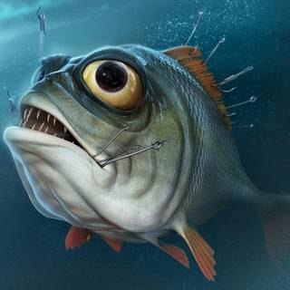 3d fish wallpaper