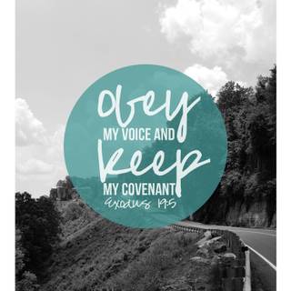 Psalm 56:3 wallpaper