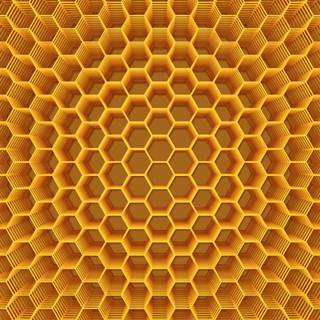 Sweeter than honey wallpaper