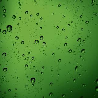 Solid green 3D water drops wallpaper