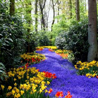 Widescreen spring wallpaper