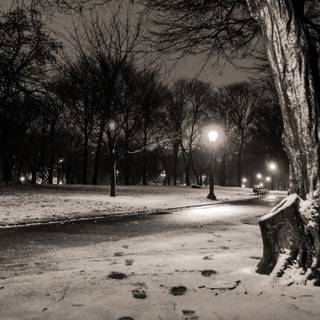 Dark with snow wallpaper