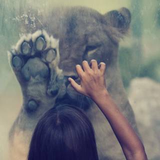 Women hands wallpaper