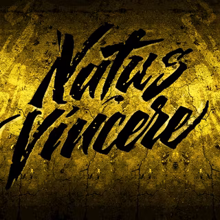 Natus Vincere CS wallpaper