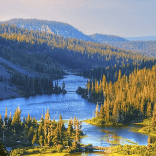 Nature iPhone 11 wallpaper