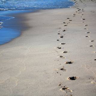 Footprints in the sand HD wallpaper