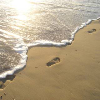 Footprints in the sand HD wallpaper