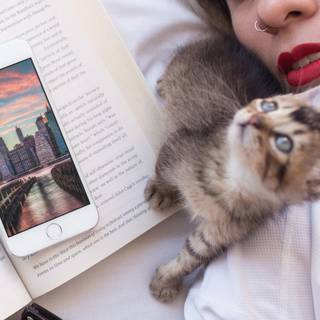 Human made wallpaper