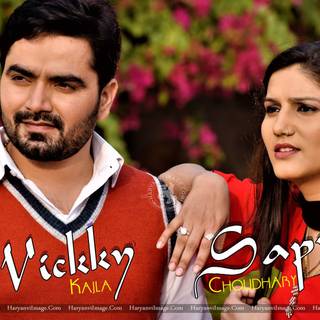 Sapna Chaudhary Full HD desktop wallpaper