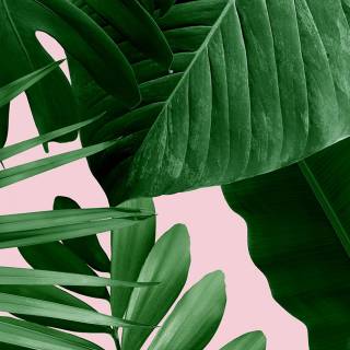 Aesthetic banana wallpaper