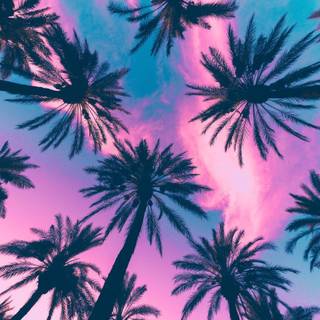 Retrowave palm trees wallpaper
