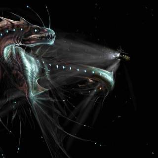 Igris computer wallpaper