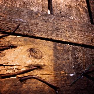 Rustic spring wallpaper