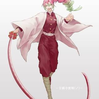 Kanroji Mitsuri wallpaper