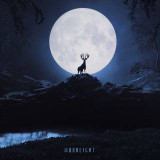 Moonlight Full HD desktop wallpaper