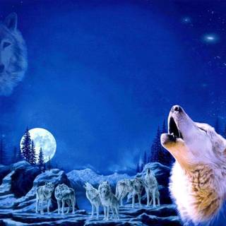 Anime wolf howling wallpaper