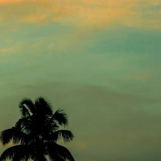 HD wallpaper download