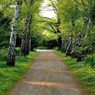 Free scenery background