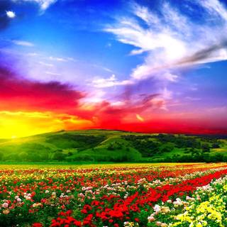 Full HD wallpaper download