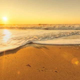 Sunny beach desktop wallpaper