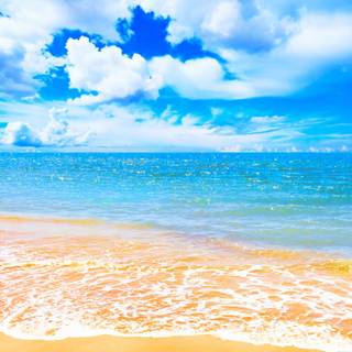 Sunny beach desktop wallpaper
