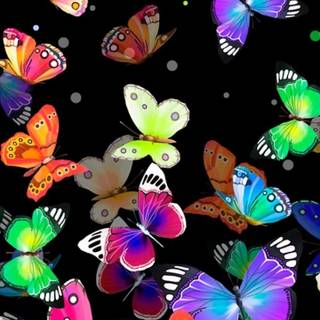 Colorful mobile wallpaper