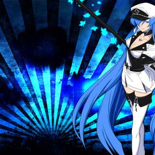 Akame Ga Kill computer wallpaper