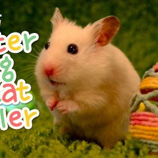 Easter hamsters wallpaper